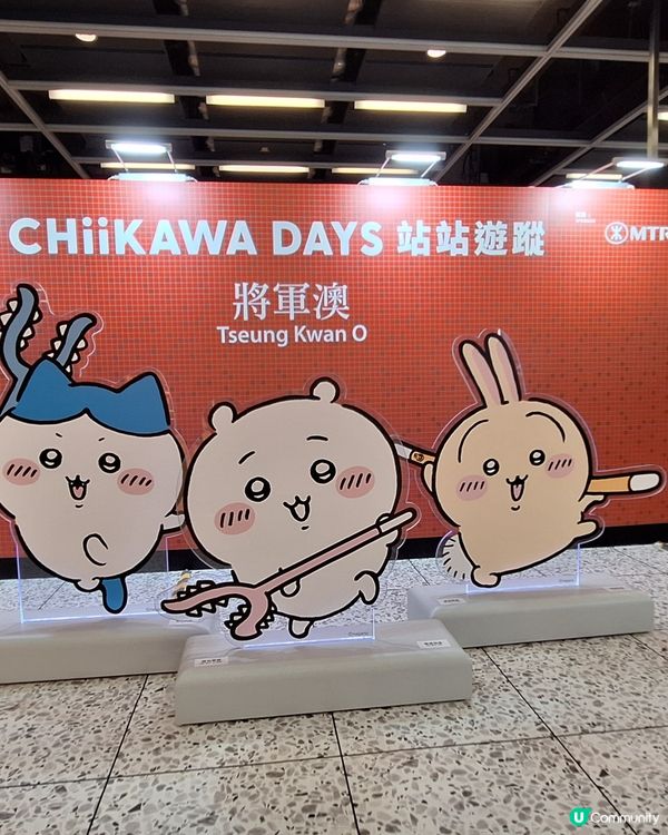 Chiikawa 太可愛了