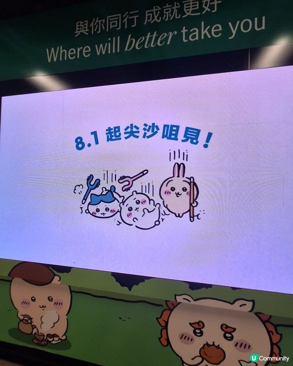 Chiikawa 太可愛了