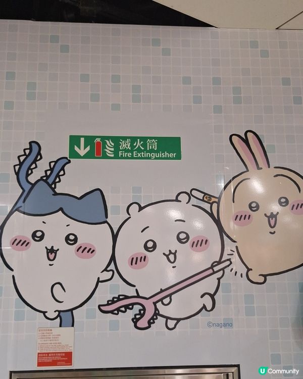 Chiikawa 太可愛了