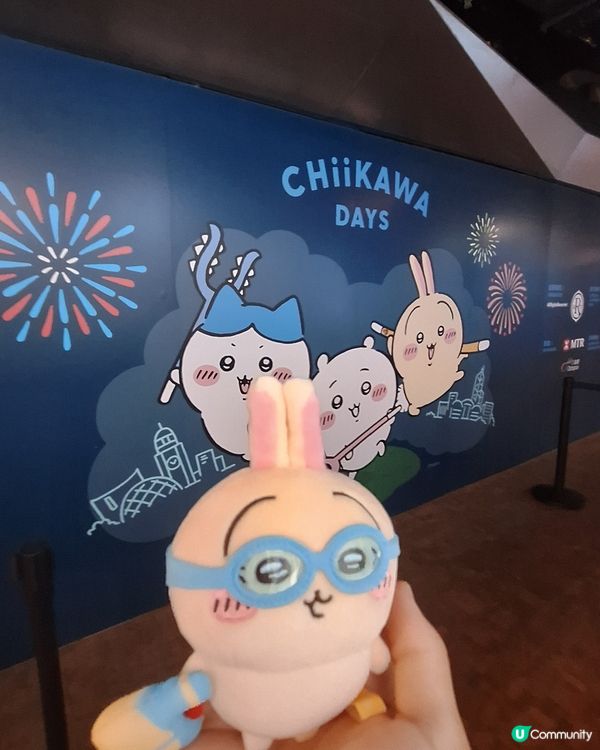 Chiikawa 太可愛了