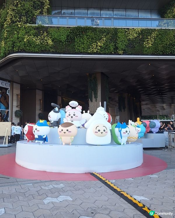 Chiikawa 太可愛了