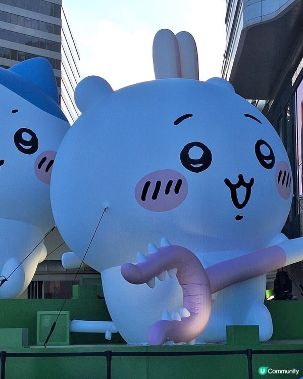 Chiikawa 太可愛了