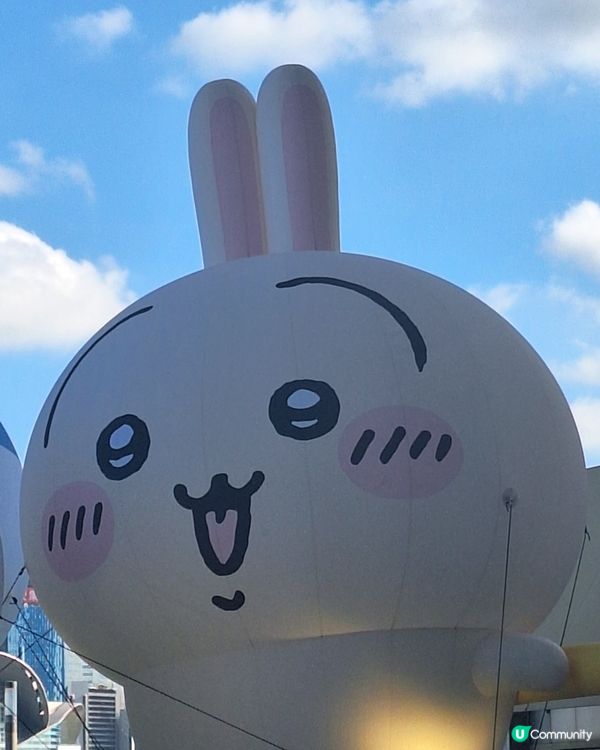 Chiikawa 太可愛了