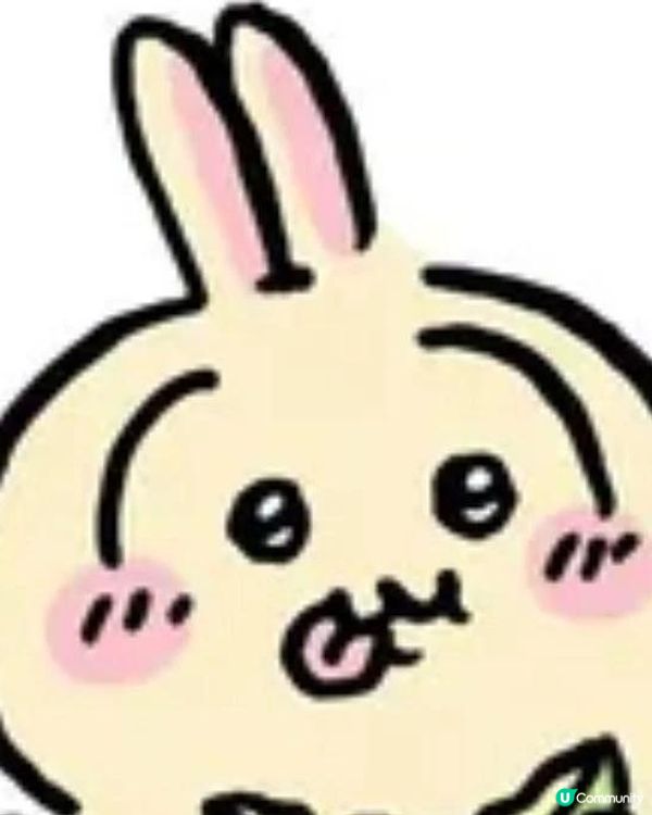 大家入坑chiikawa原因係咩🤔