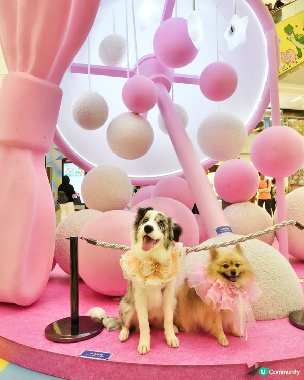 反斗萌友玩樂打卡區