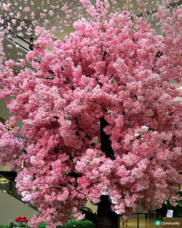 1. 村上隆嘅陽光系作品☀️！童裝鞋款登場👟！快啲去睇吓啦！