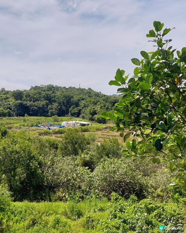 假日西貢遊！清酒工作坊 ＆鹽田一日遊🍶☀️