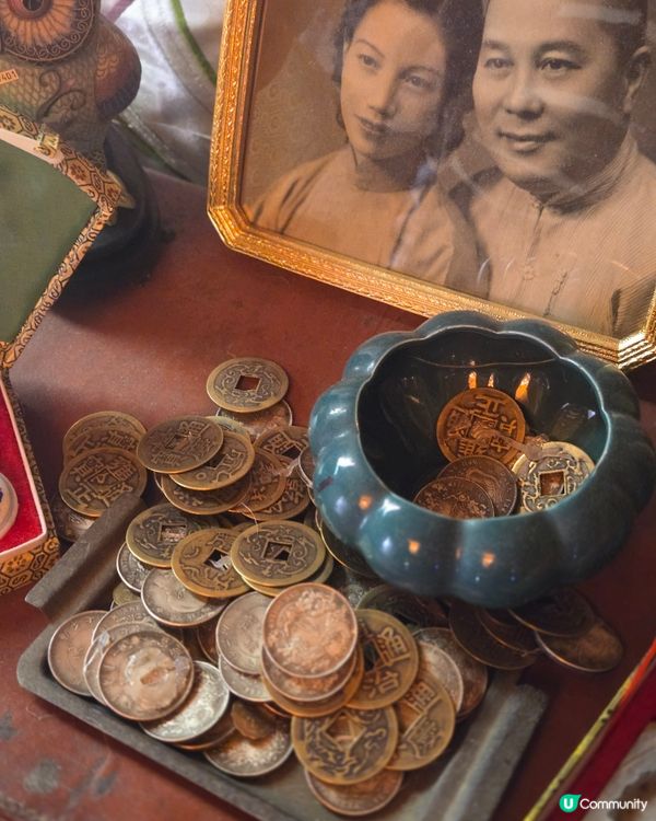 豊福亮的黃金之境