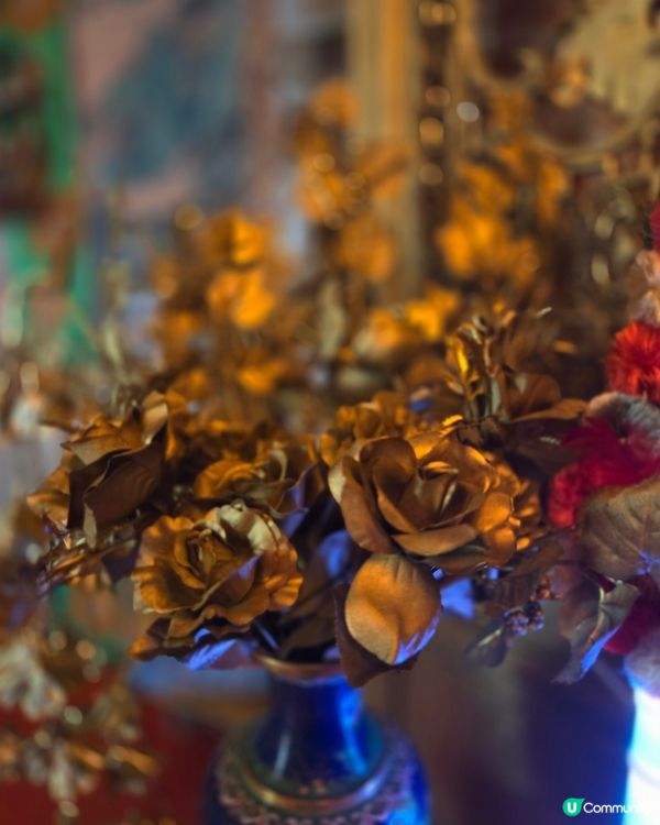 豊福亮的黃金之境