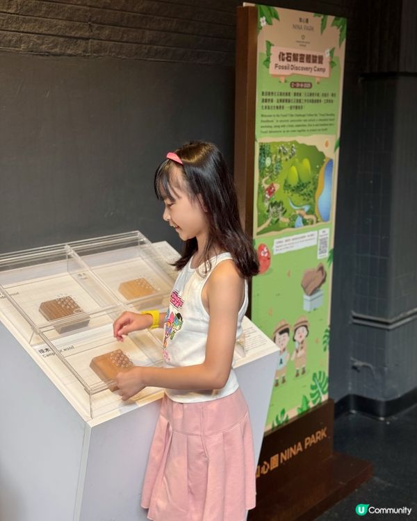 如心園化石解密體驗營 