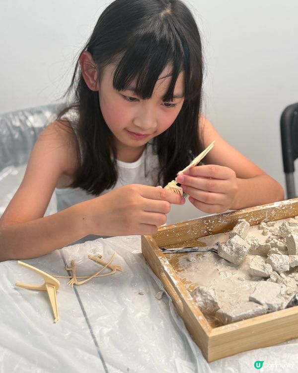 如心園化石解密體驗營 