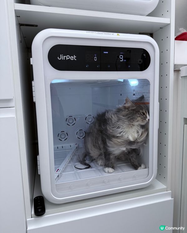 【招募毛孩】請您食 Whiskers N Paws「寵物零食套裝」!