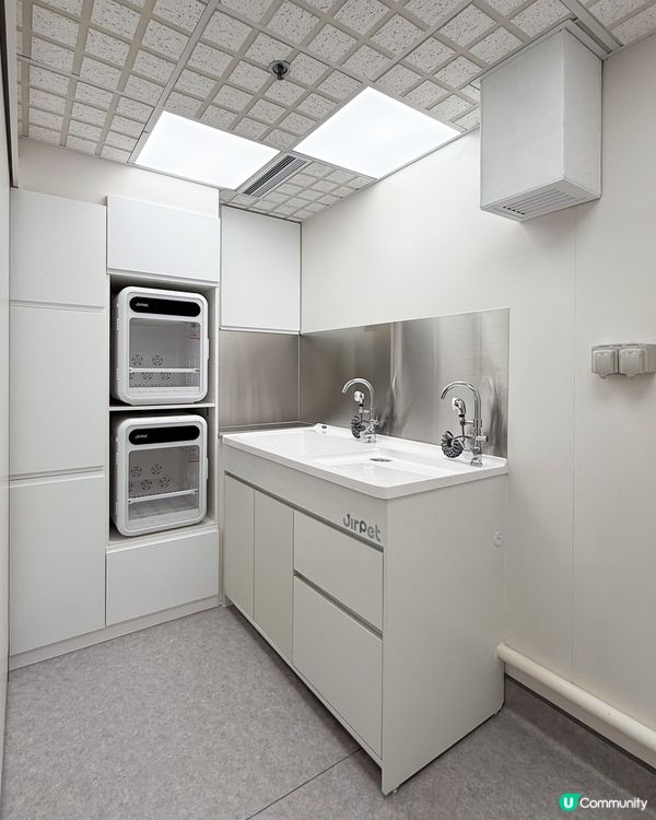 【招募毛孩】請您食 Whiskers N Paws「寵物零食套裝」!