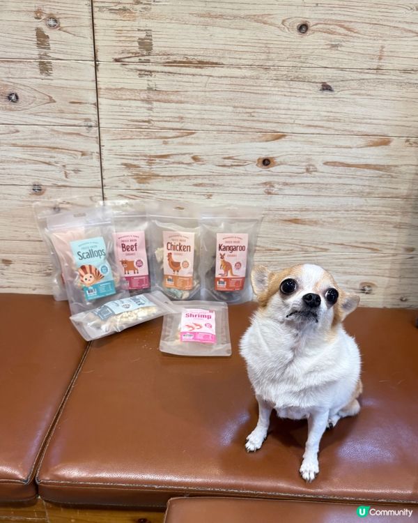 【招募毛孩】請您食 Whiskers N Paws「寵物零食套裝」!