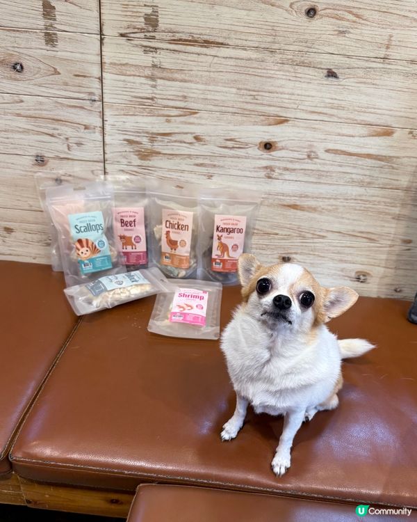 【招募毛孩】請您食 Whiskers N Paws「寵物零食套裝」!