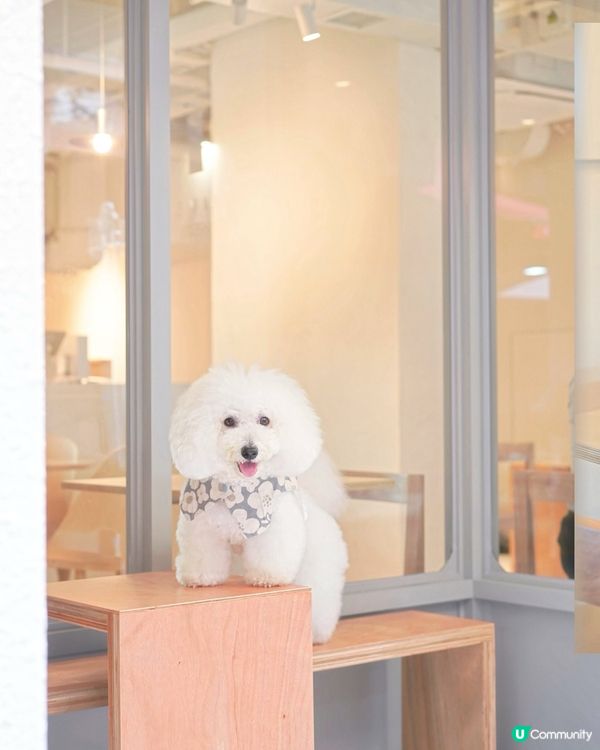 上環法式蛋糕店🥳