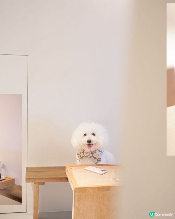 上環法式蛋糕店🥳