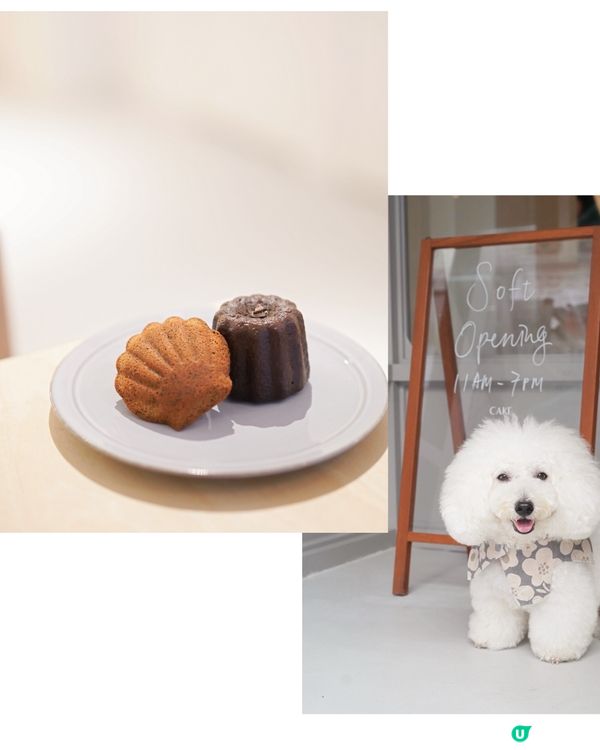 上環法式蛋糕店🥳