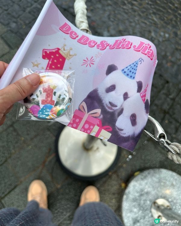 加加得得生日快樂！🎂 一齊去海洋公園玩！🥳