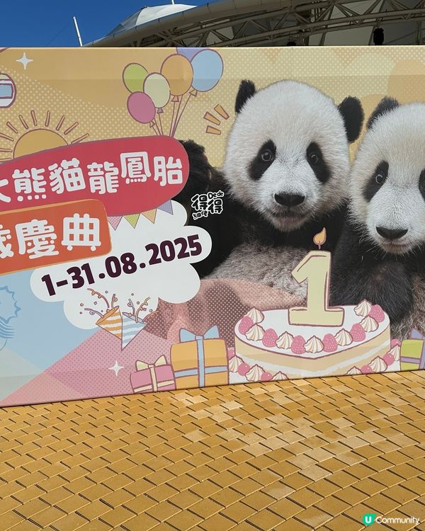 加加得得生日快樂！🎂 一齊去海洋公園玩！🥳