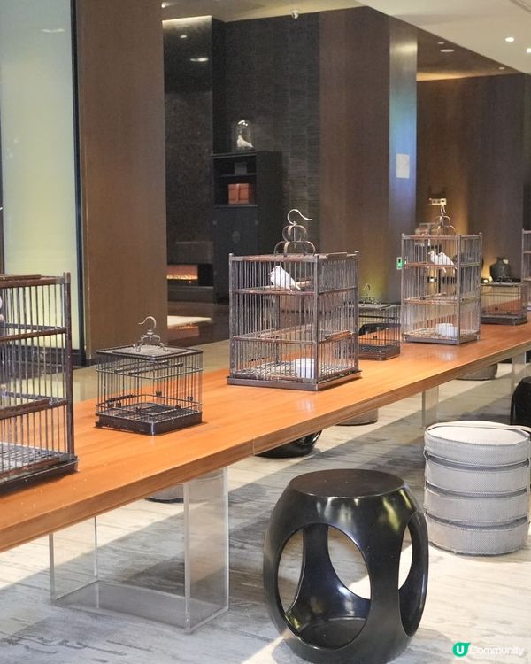 港人深圳新蒲點！5分鐘直達酒店🤩 影相一流！