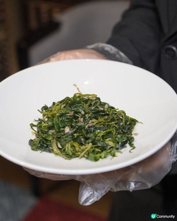 港人深圳新蒲點！5分鐘直達酒店🤩 影相一流！