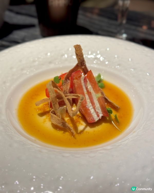 鬧市中的世外桃源 - AMMO🍽️☘️