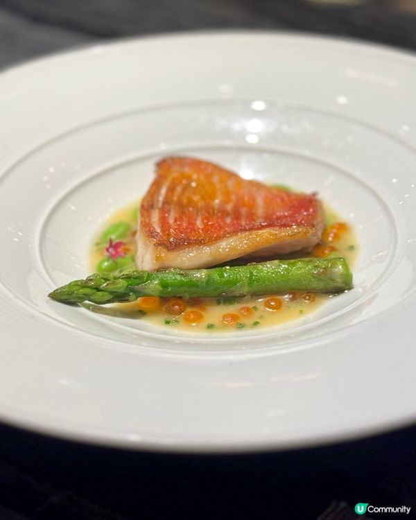 鬧市中的世外桃源 - AMMO🍽️☘️