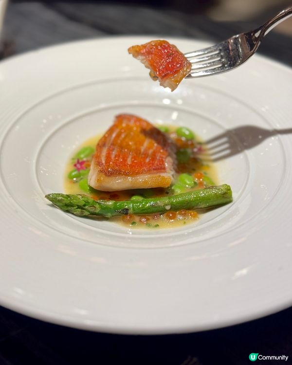 鬧市中的世外桃源 - AMMO🍽️☘️