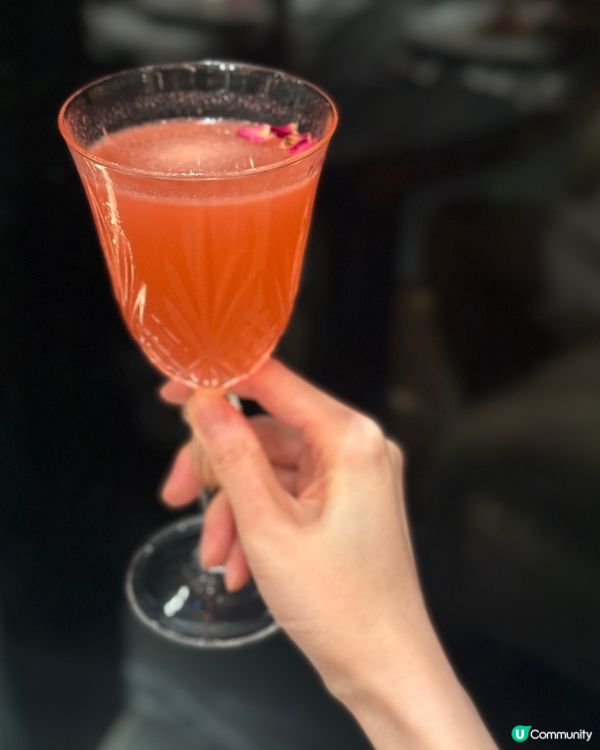 鬧市中的世外桃源 - AMMO🍽️☘️