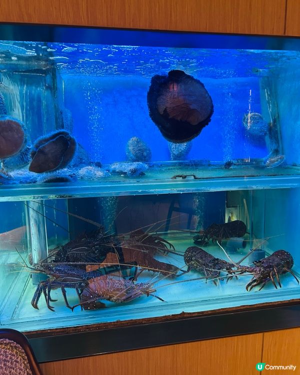 嘆爆酒店粵菜！😋 冰燒三層肉必試！🔥 