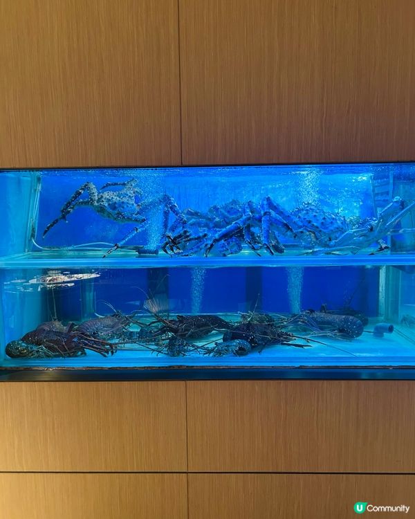 嘆爆酒店粵菜！😋 冰燒三層肉必試！🔥 