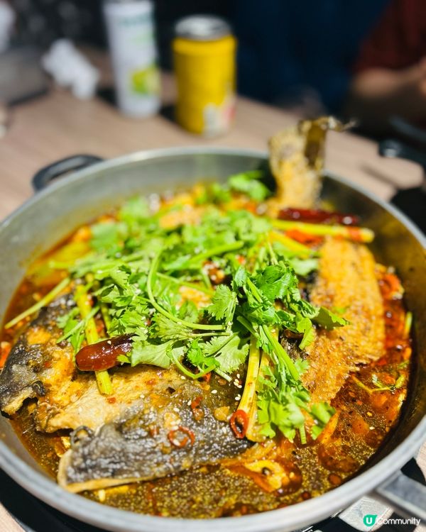 旺角尖咀7小時放題！牛雜煲烤魚雞煲任食🤤🔥