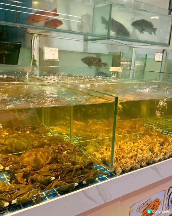 鴻圖樓打卡📸！中式酒樓夠晒特色！😋