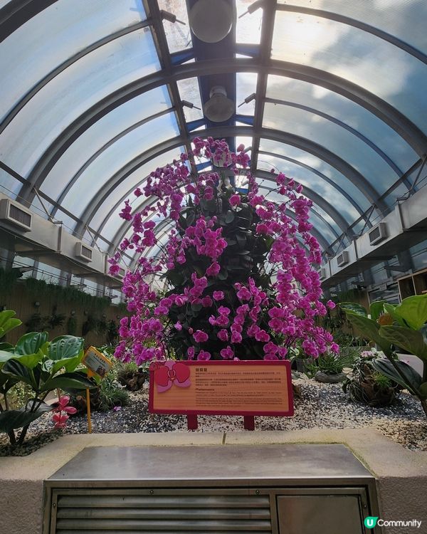 香港動植物公園🌿！150年歷史等你嚟探險！🌳