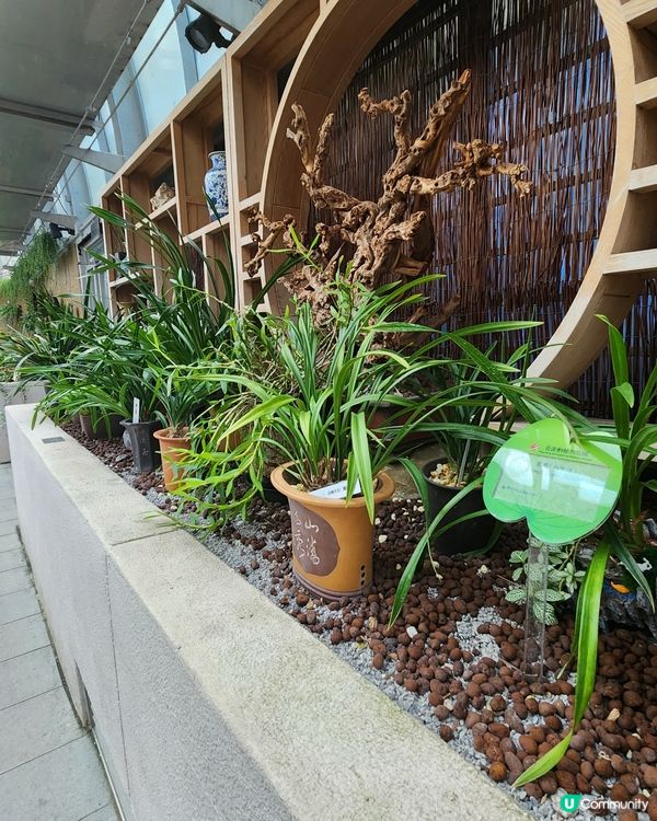 香港動植物公園🌿！150年歷史等你嚟探險！🌳