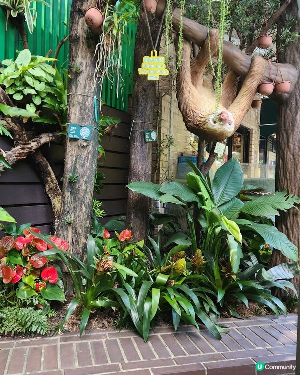 香港動植物公園🌿！150年歷史等你嚟探險！🌳