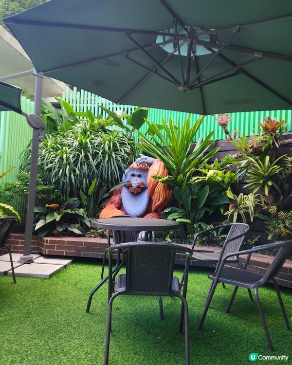 香港動植物公園🌿！150年歷史等你嚟探險！🌳