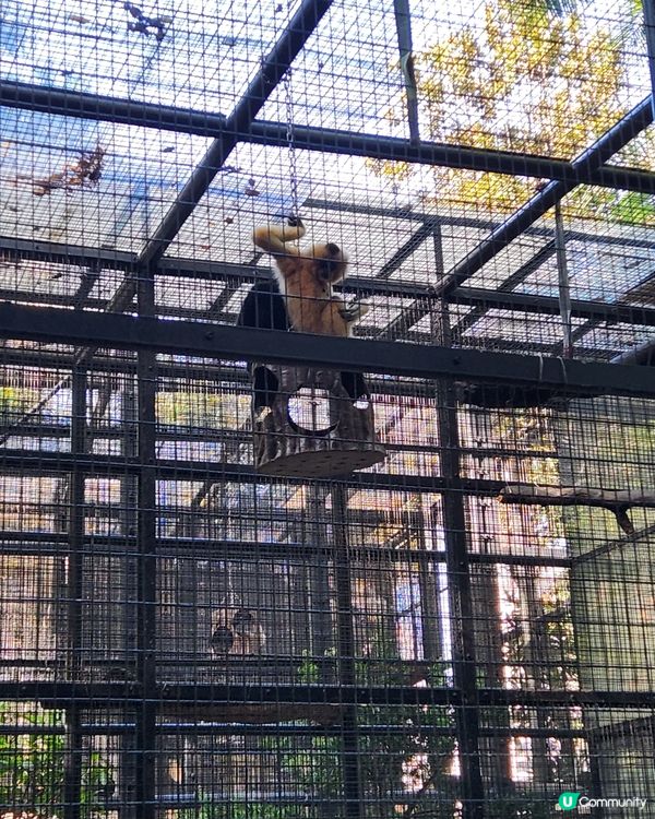 香港動植物公園🌿！150年歷史等你嚟探險！🌳
