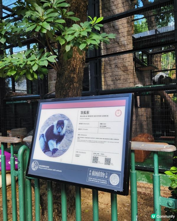 香港動植物公園🌿！150年歷史等你嚟探險！🌳