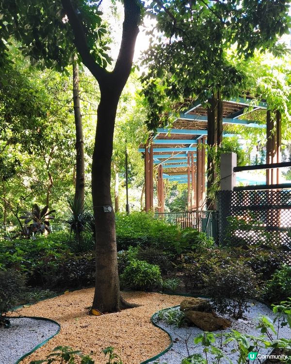 香港動植物公園🌿！150年歷史等你嚟探險！🌳