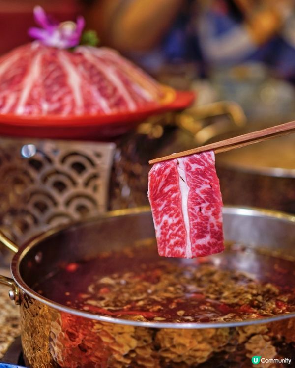 銅鑼灣打邊爐🤤！去滾夠晒過癮！🔥