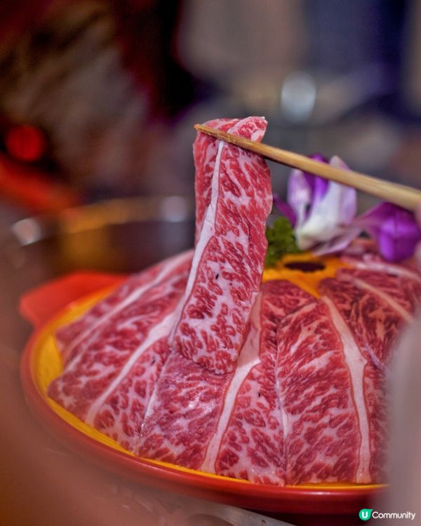 銅鑼灣打邊爐🤤！去滾夠晒過癮！🔥