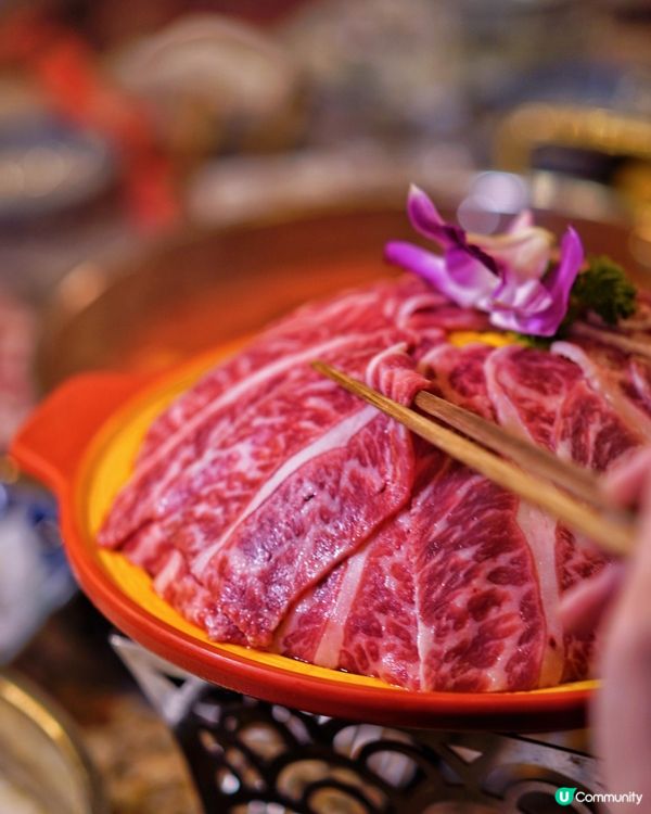 銅鑼灣打邊爐🤤！去滾夠晒過癮！🔥