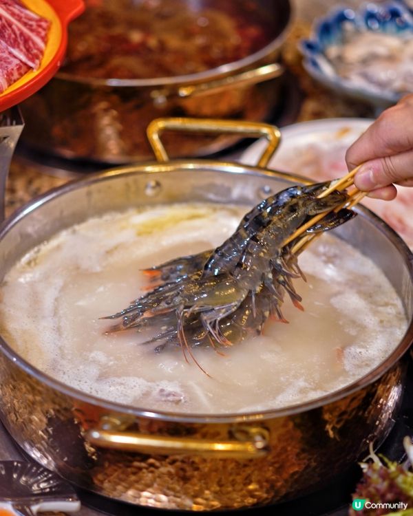 銅鑼灣打邊爐🤤！去滾夠晒過癮！🔥