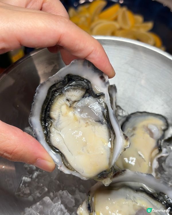 🎏專攻海鮮自助餐‼️仲有即席油甘魚現場解體表演🔥