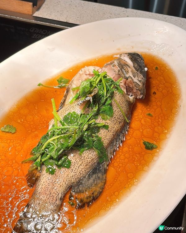 🎏專攻海鮮自助餐‼️仲有即席油甘魚現場解體表演🔥