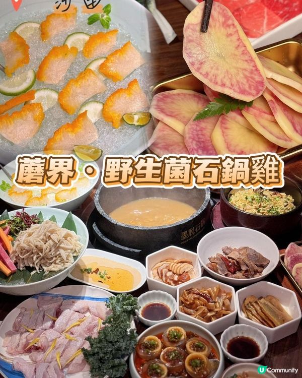 🍄唔使過關！香港都有「蘑界」野生菌石鍋雞啦～