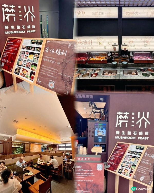 🍄唔使過關！香港都有「蘑界」野生菌石鍋雞啦～