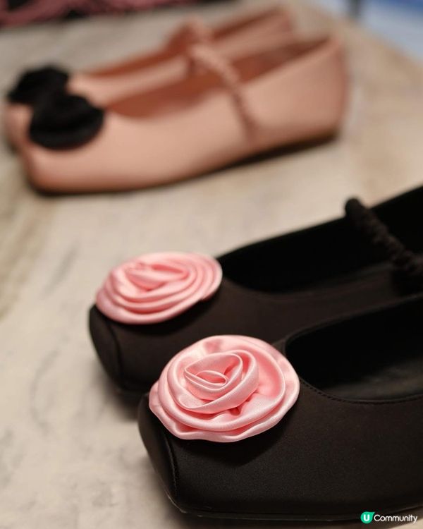 尖咀新鋪開張！🌼 韓風小雛菊+臘腸狗🐶 潮爆！